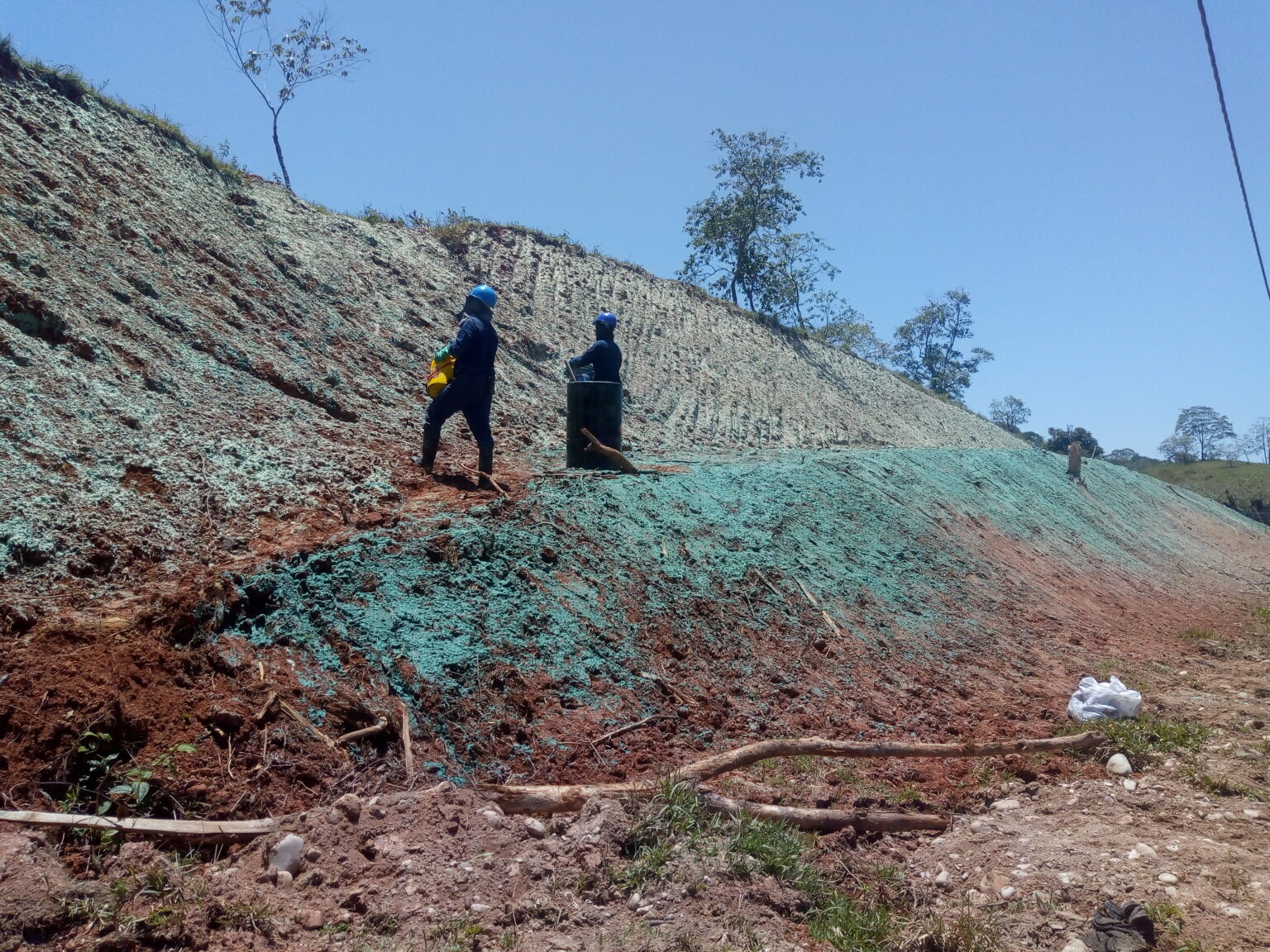 Revegetalización y Reforestación